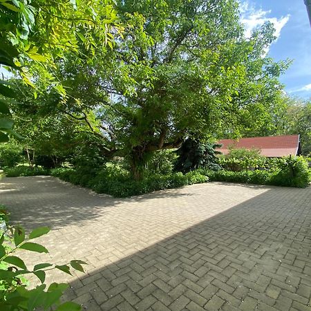 Racz Birtok Lajosmizse Daire Dış mekan fotoğraf