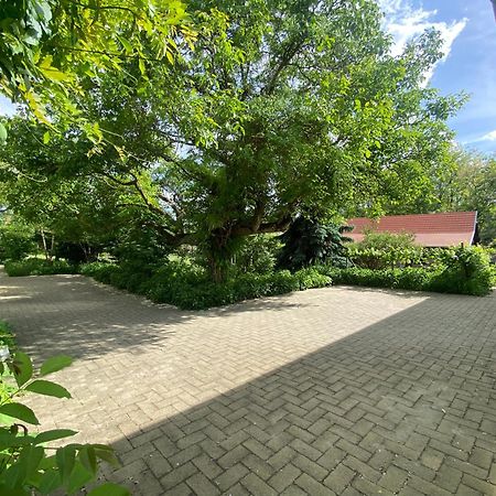 Racz Birtok Lajosmizse Daire Dış mekan fotoğraf