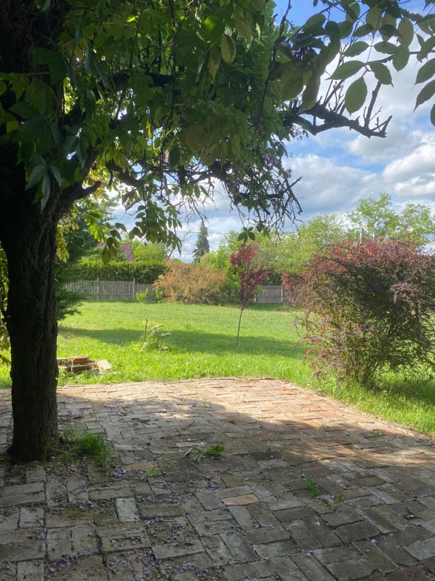 Racz Birtok Lajosmizse Daire Dış mekan fotoğraf