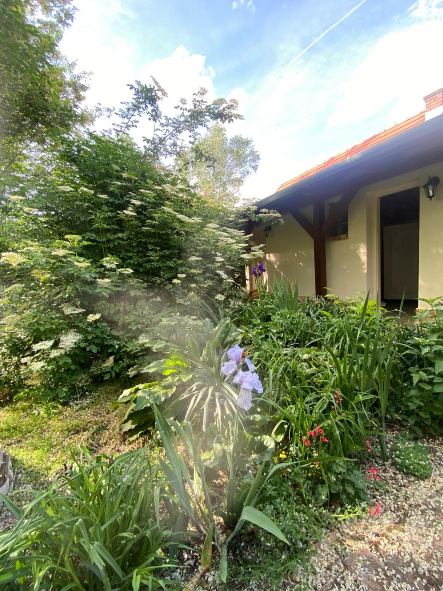 Racz Birtok Lajosmizse Daire Dış mekan fotoğraf