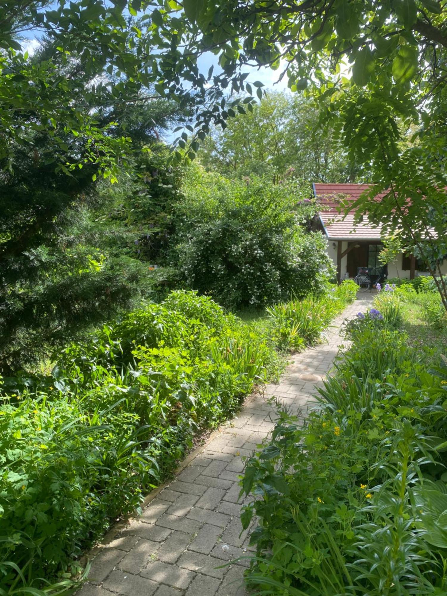 Racz Birtok Lajosmizse Daire Dış mekan fotoğraf